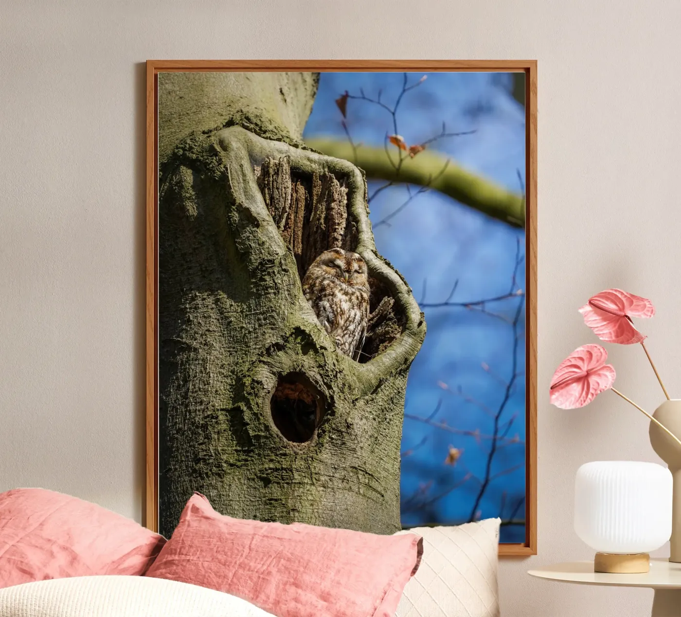 Allocco alluminio dibond da Tom's Wildlife