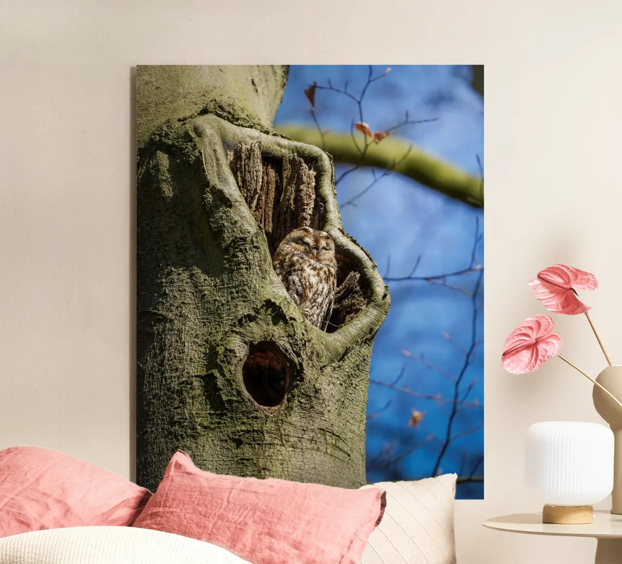 Allocco pannello forex da Tom's Wildlife