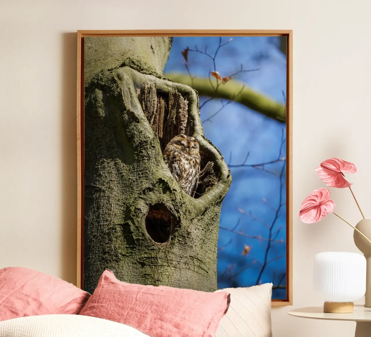 Allocco tela con Cornice a cassetta da Tom's Wildlife