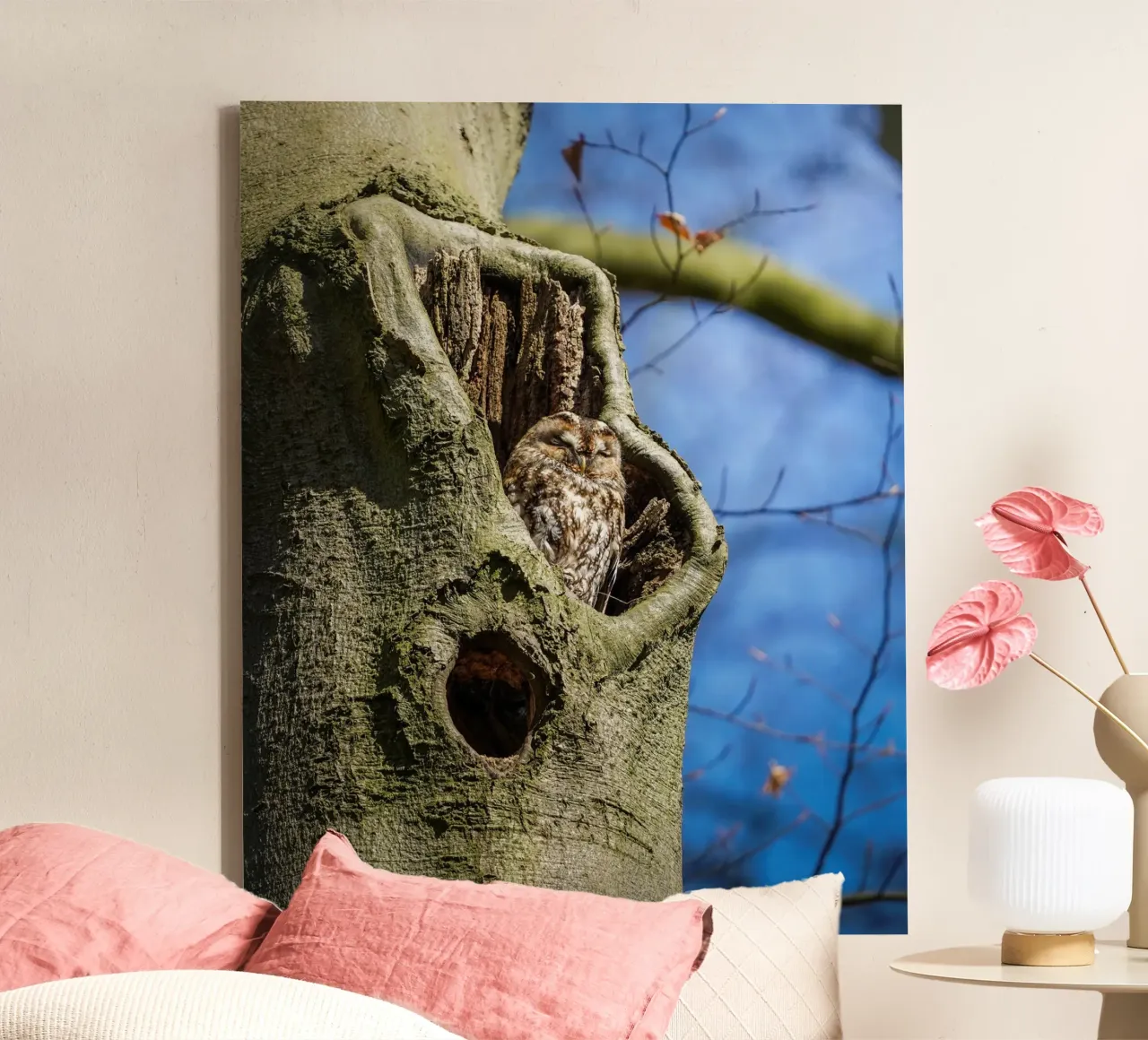 Allocco tela con Cornice a cassetta da Tom's Wildlife