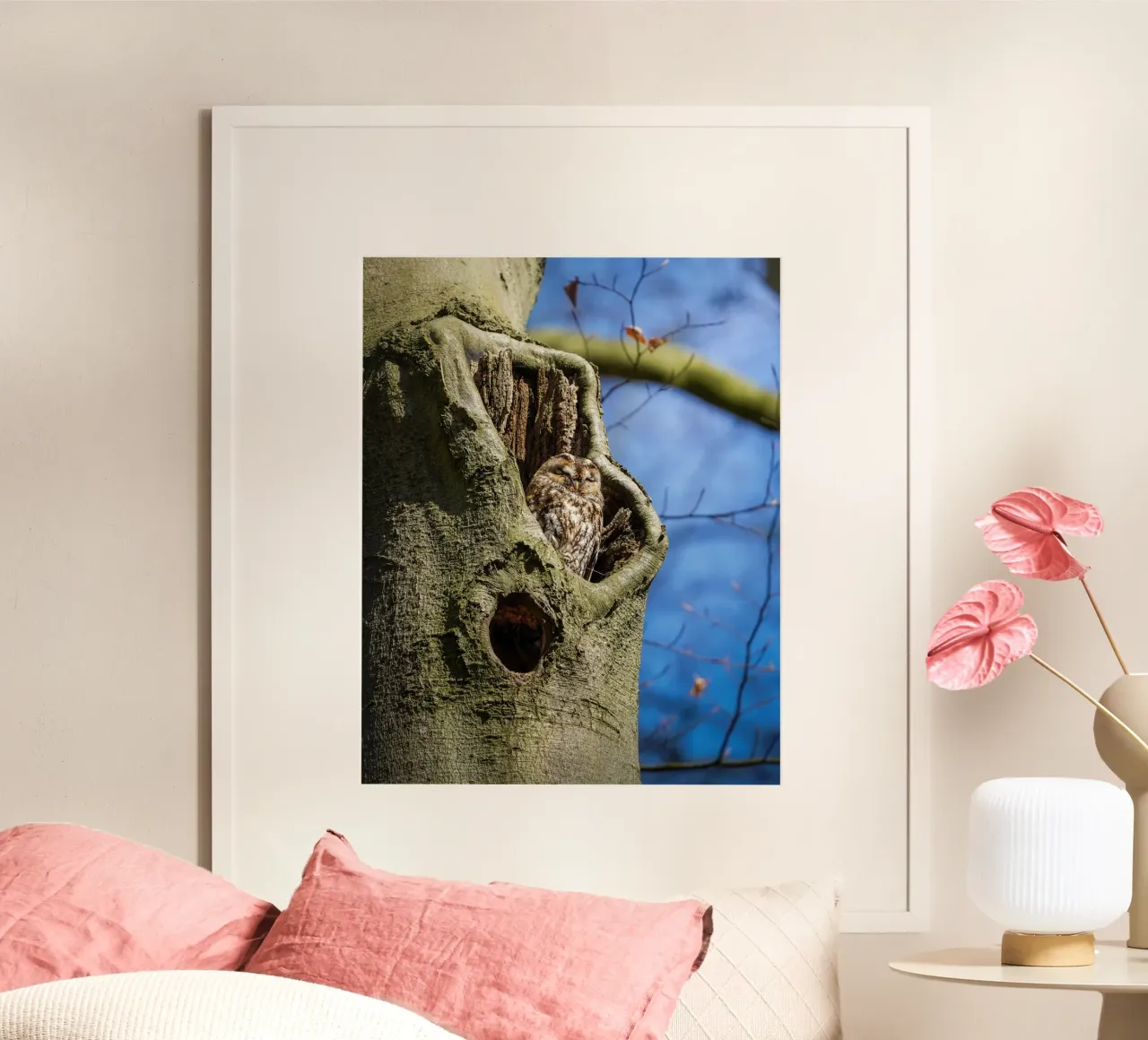 Waldkauz Poster von Tom's Wildlife