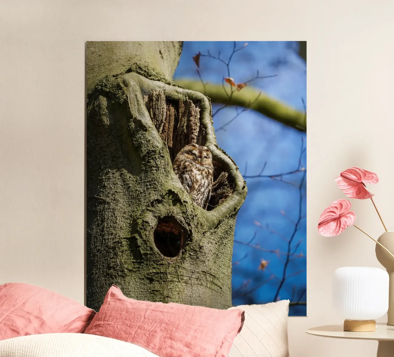 Waldkauz Poster von Tom's Wildlife