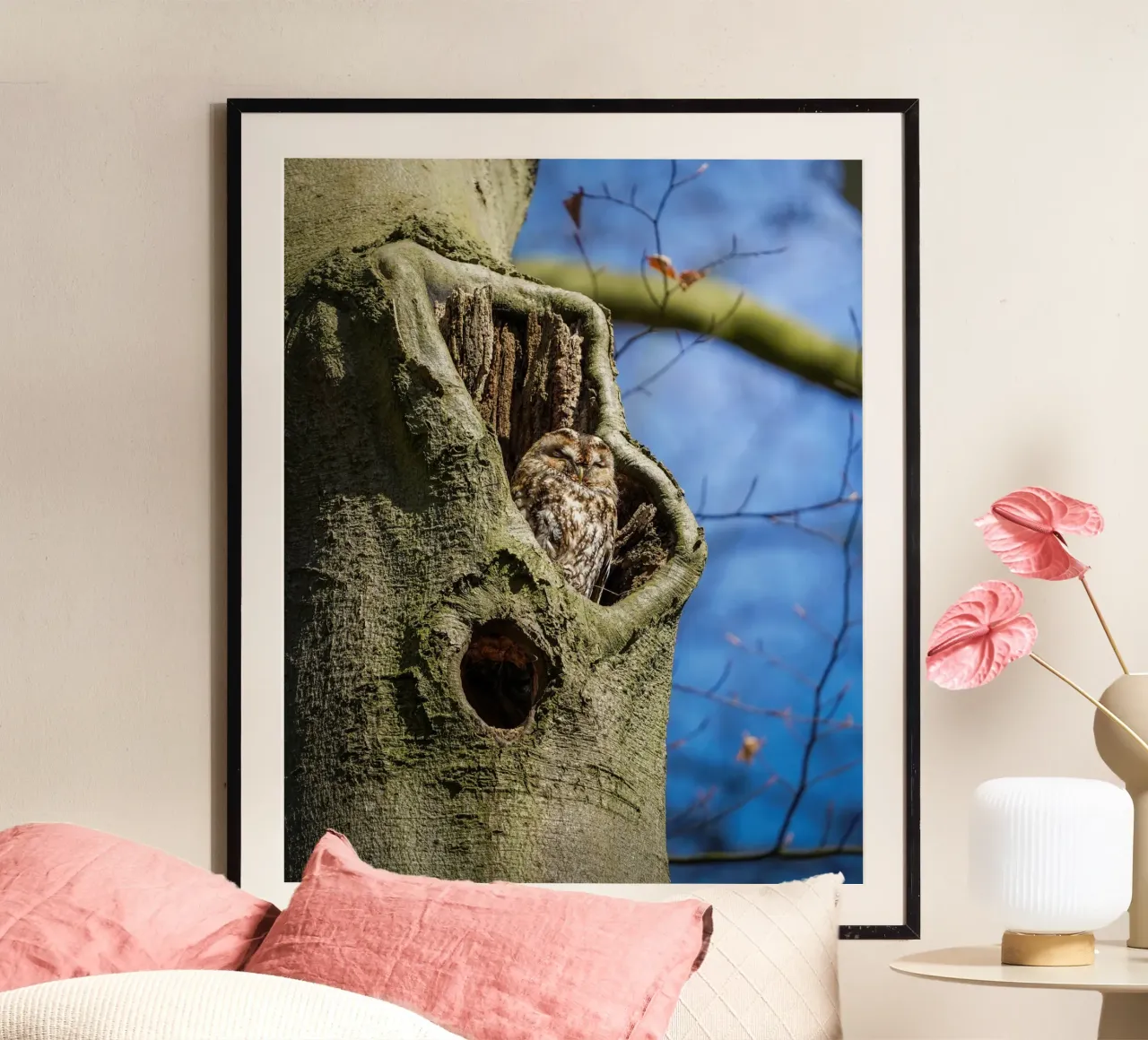 Allocco poster con telaio in plastica da Tom's Wildlife