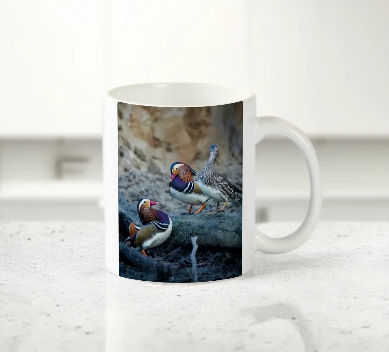 Anatre colorate tazza in ceramica da Tom's Wildlife