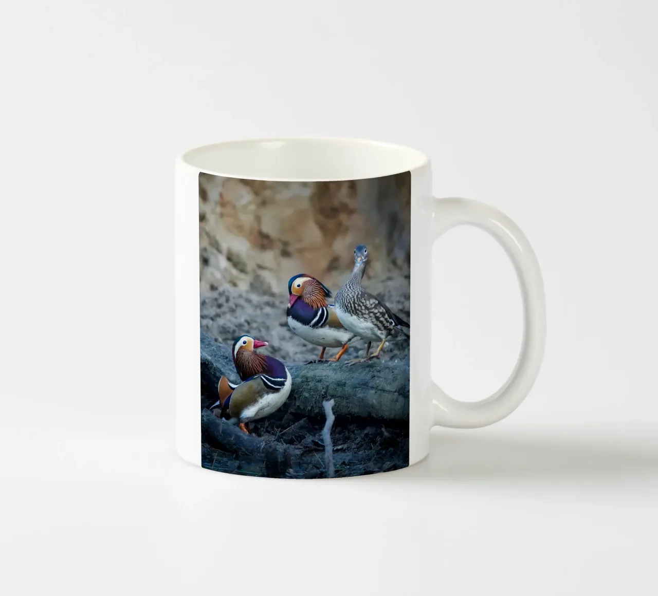 Anatre colorate tazza in ceramica da Tom's Wildlife
