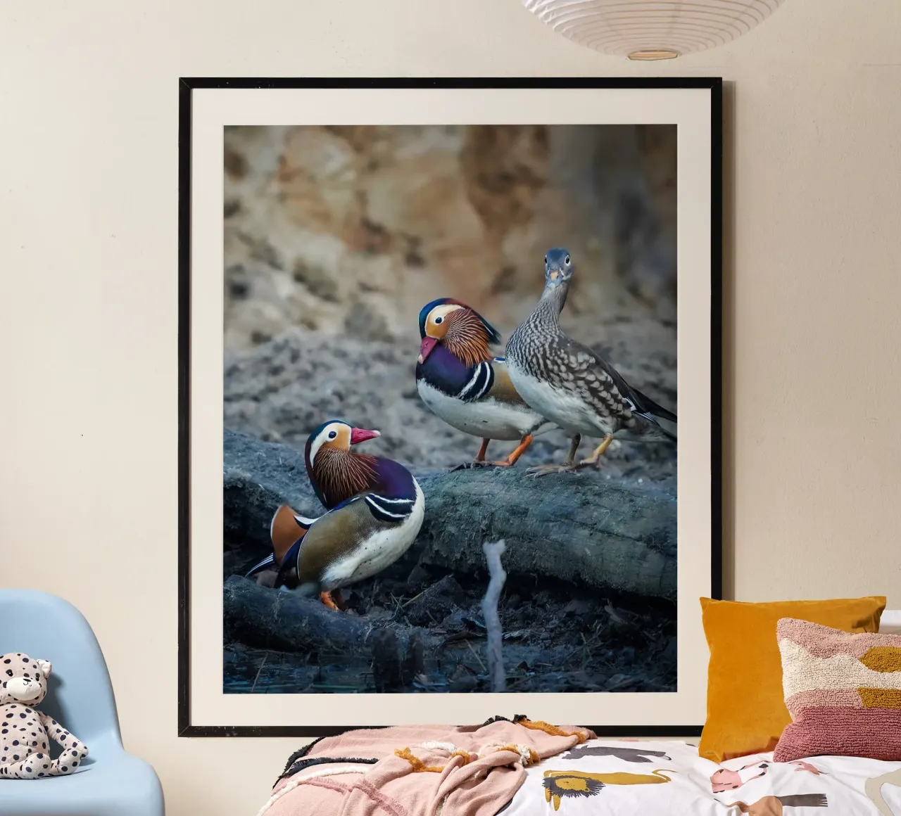 Anatre colorate poster da Tom's Wildlife