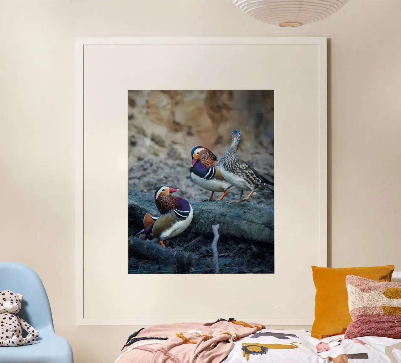 Anatre colorate poster da Tom's Wildlife