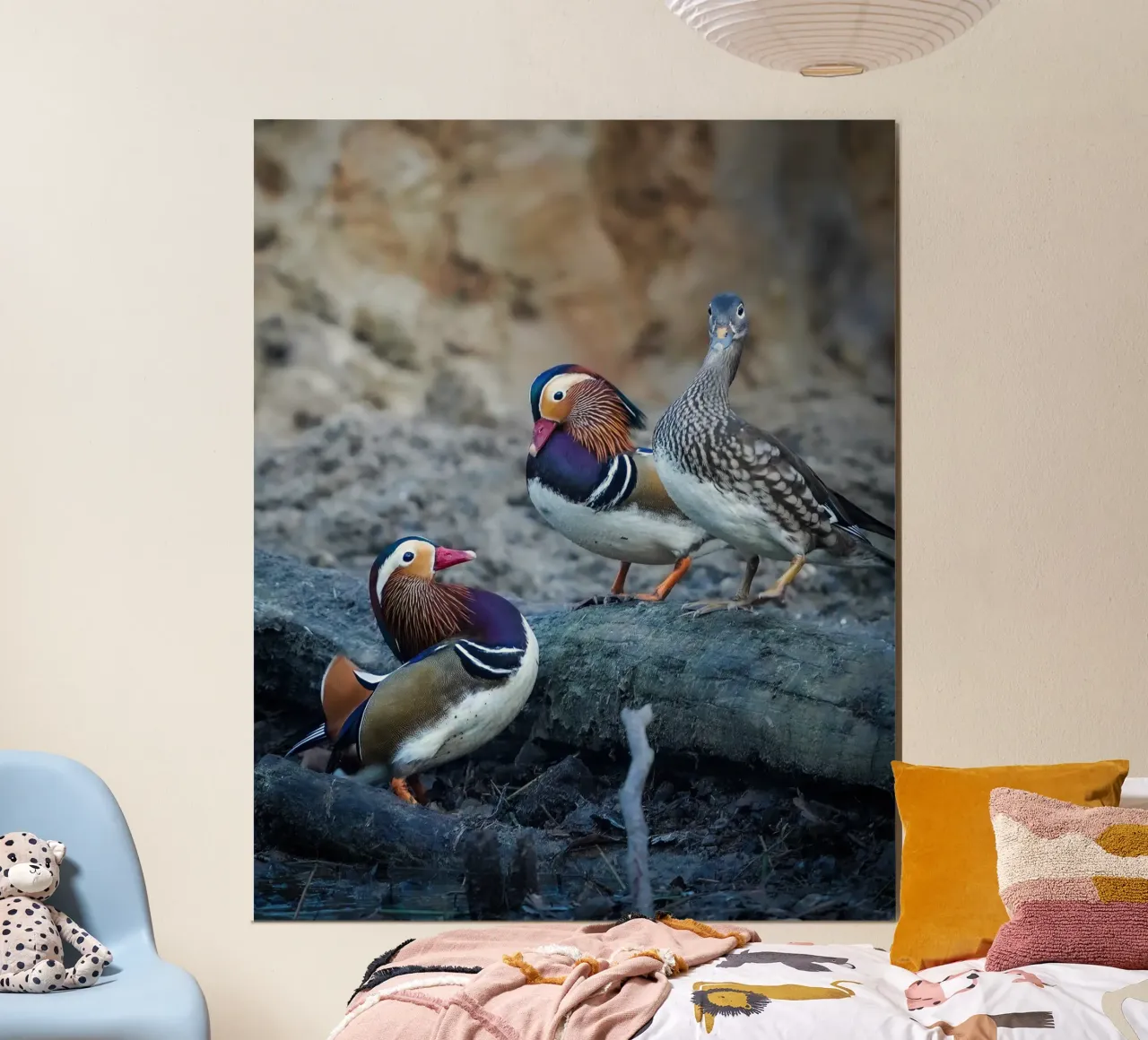 Anatre colorate poster da Tom's Wildlife