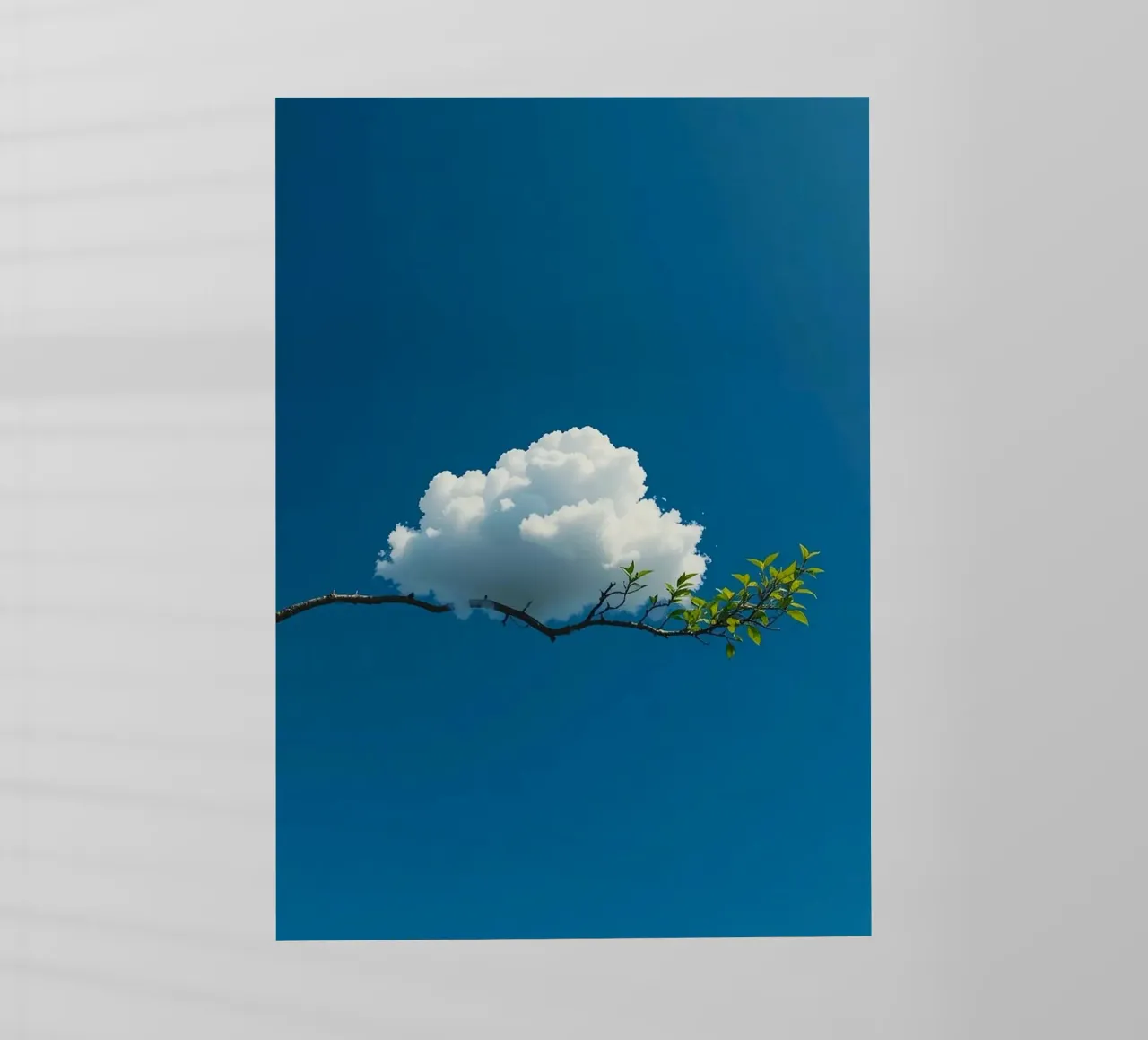 cloud land on tree pellicola backlit da lifeline