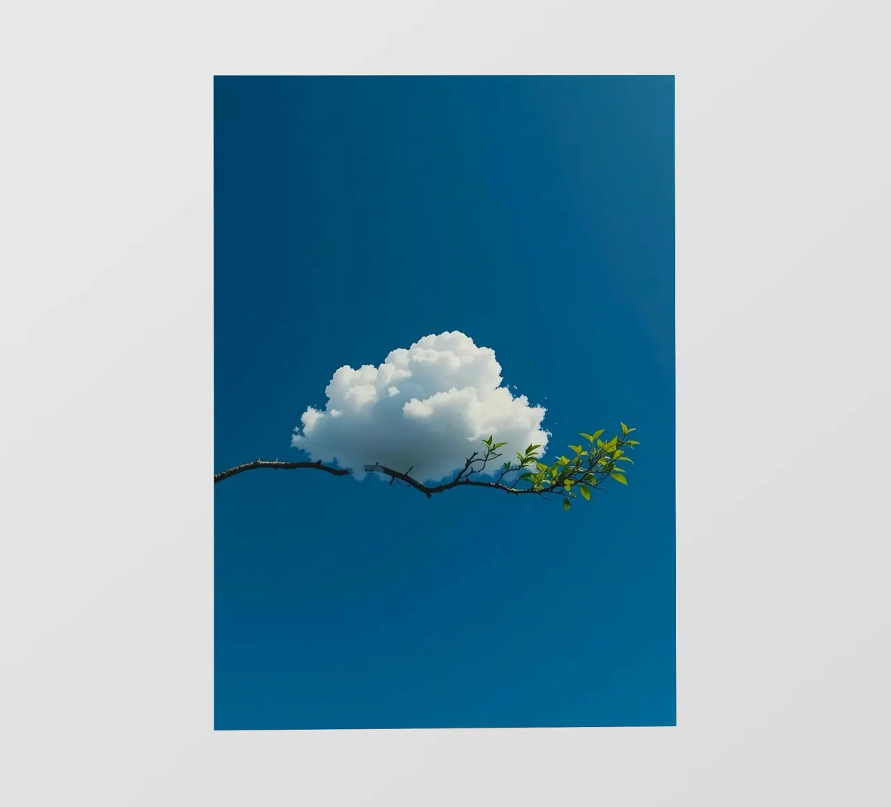 cloud land on tree pellicola backlit da lifeline