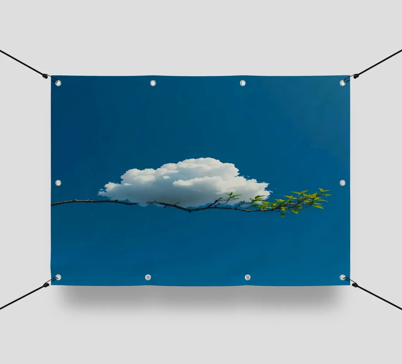 cloud land on tree telo in pvc da lifeline
