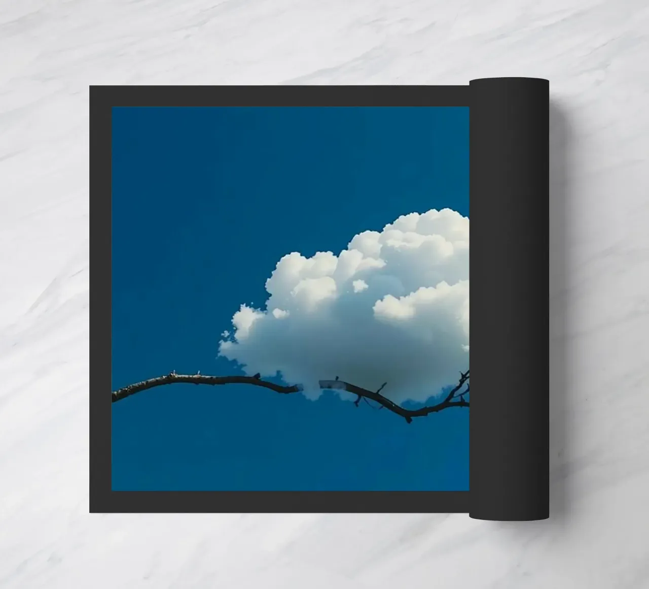 cloud land on tree zerbino da lifeline