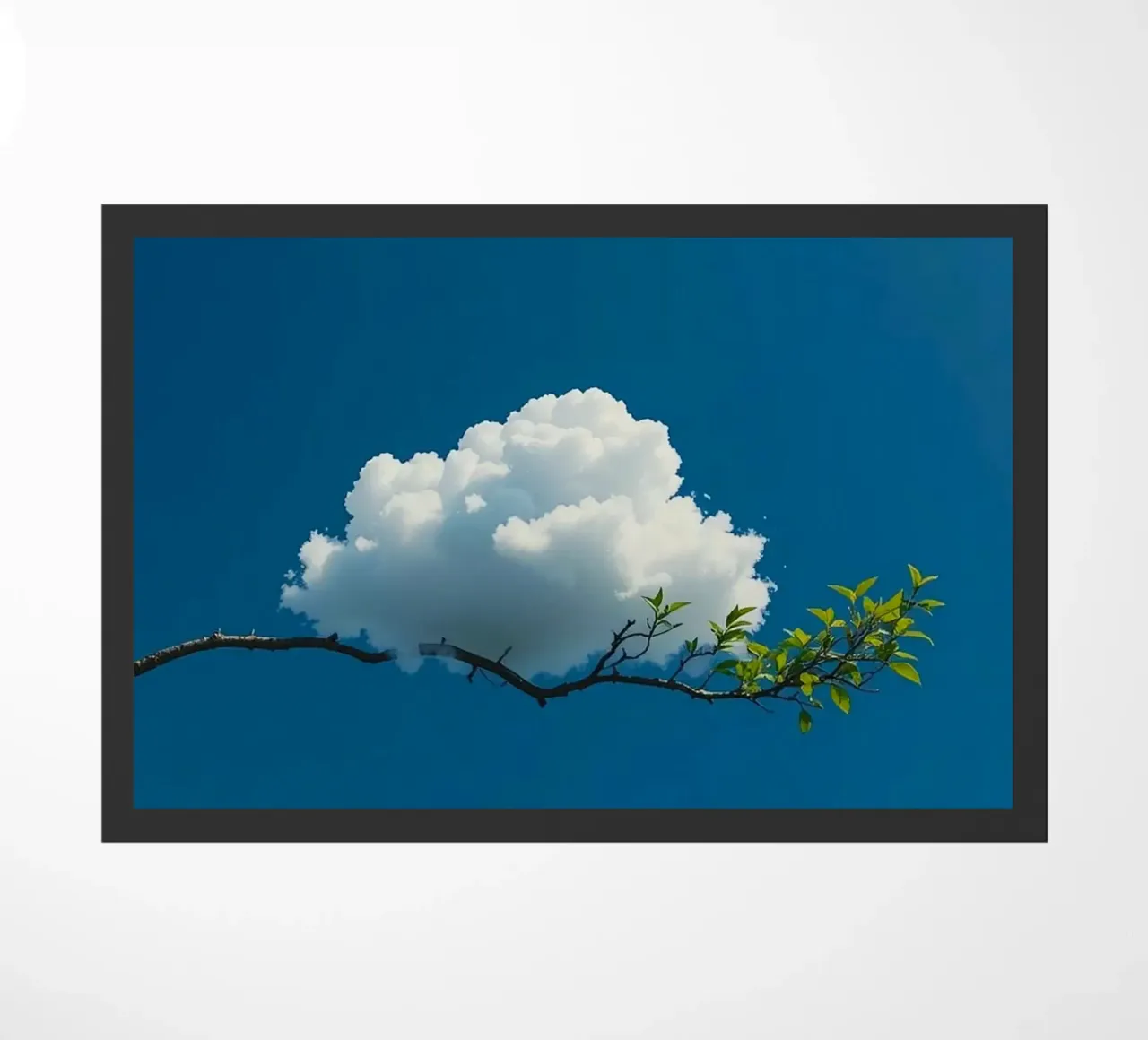 cloud land on tree zerbino da lifeline