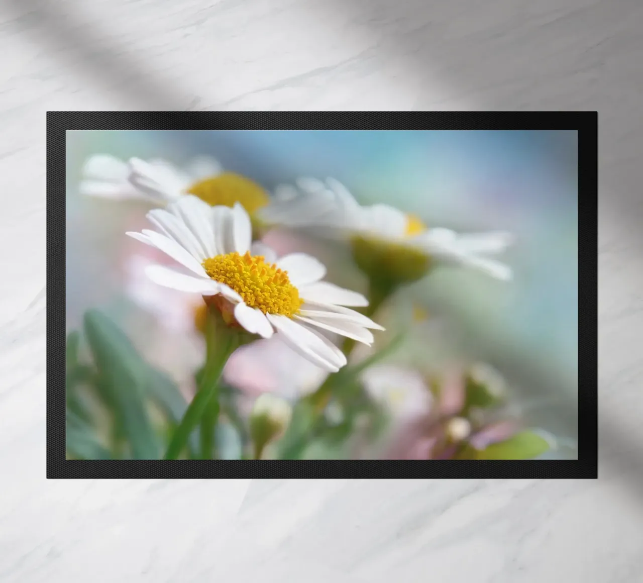 Daisies zerbino da Atteloi