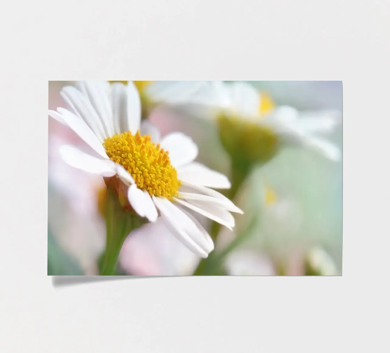 Margeriten Stickerbogen von Atteloi