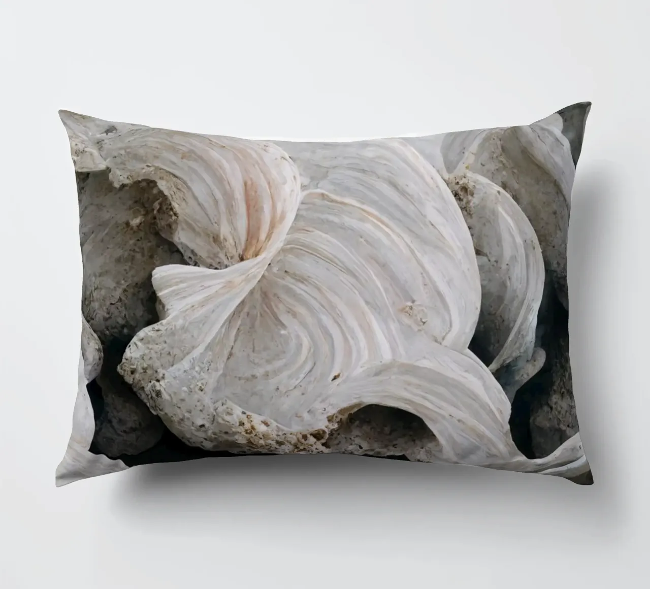 Sea Shells Detail No 1 cuscino da treechild