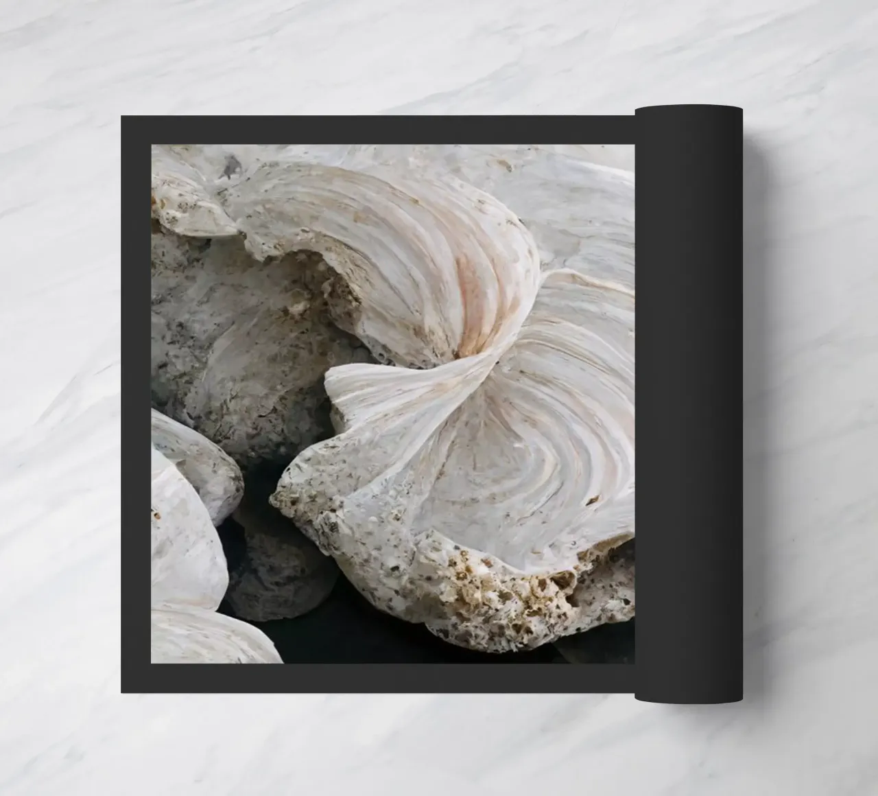 Sea Shells Detail No 1 zerbino da treechild