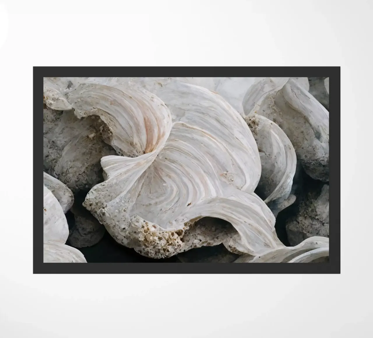 Sea Shells Detail No 1 zerbino da treechild