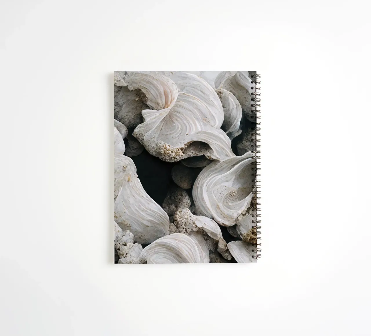 Sea Shells Detail No 1 spiral notebook by treechild