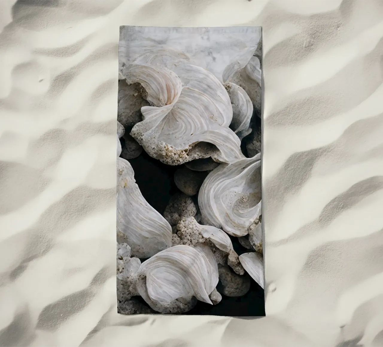 Sea Shells Detail No 1 telo mare da treechild