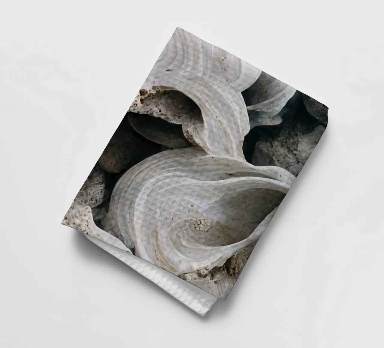 Sea Shells Detail No 1 canovaccio da cucina da treechild