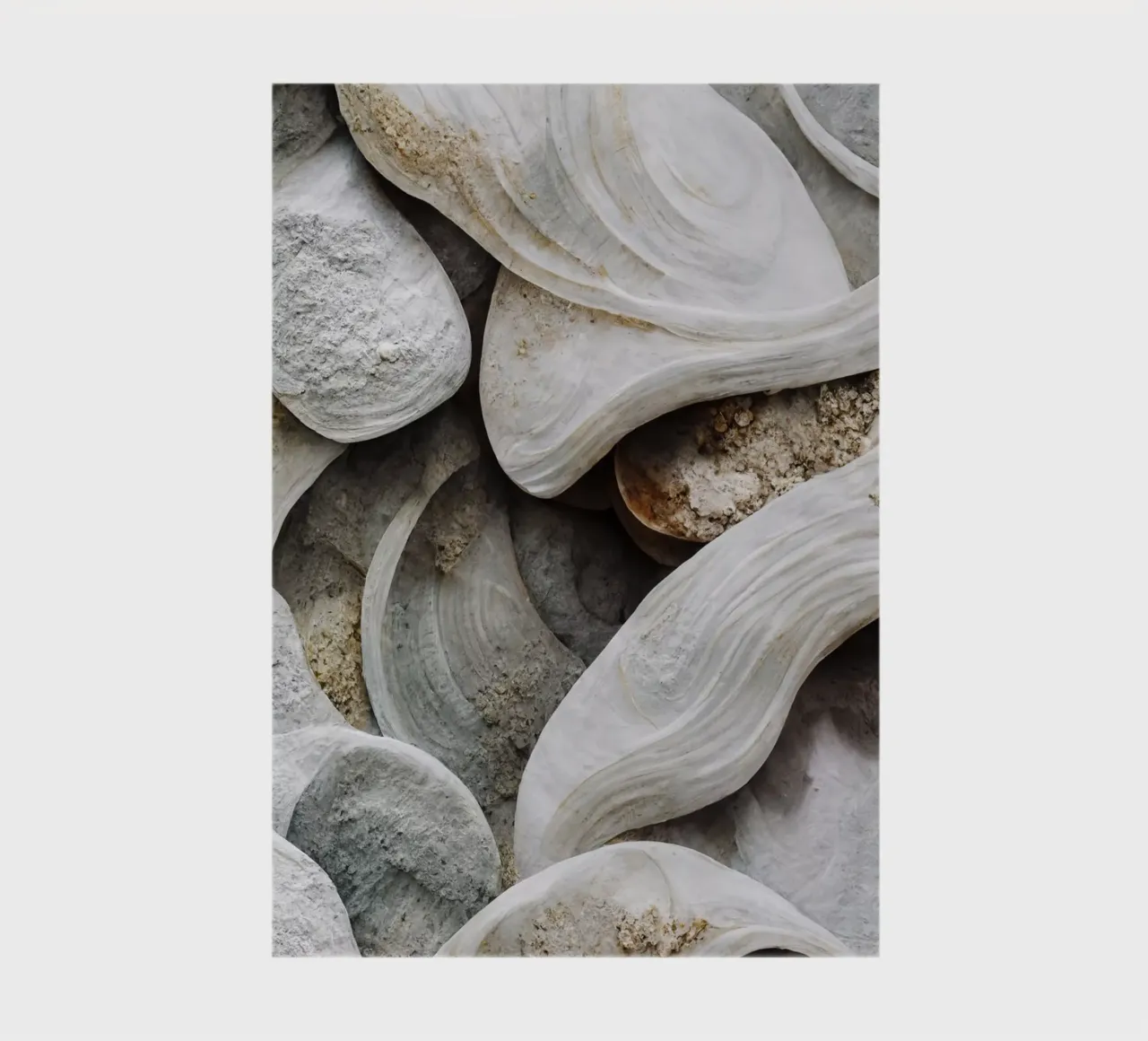 Sea Shells Detail No 3 notebook by treechild