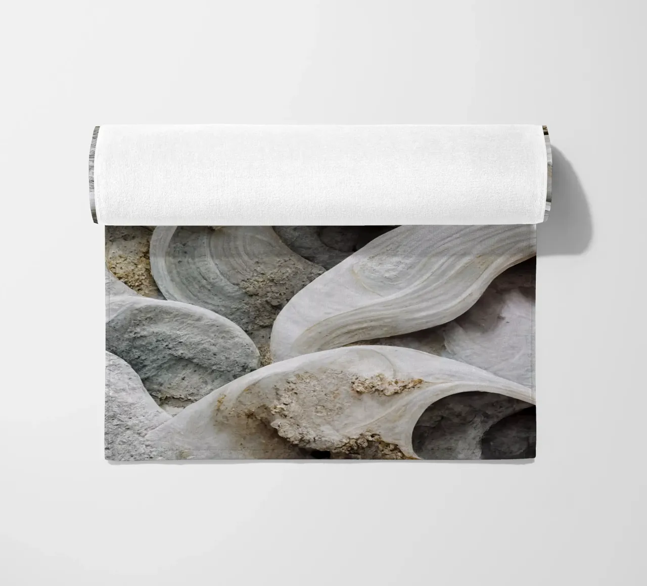 Sea Shells Detail No 3 telo mare da treechild