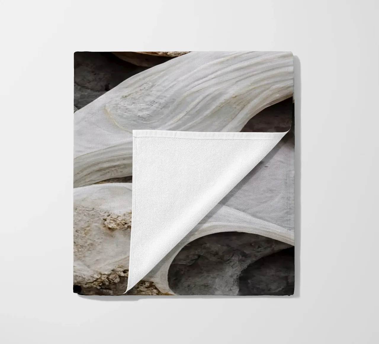 Sea Shells Detail No 3 telo mare da treechild