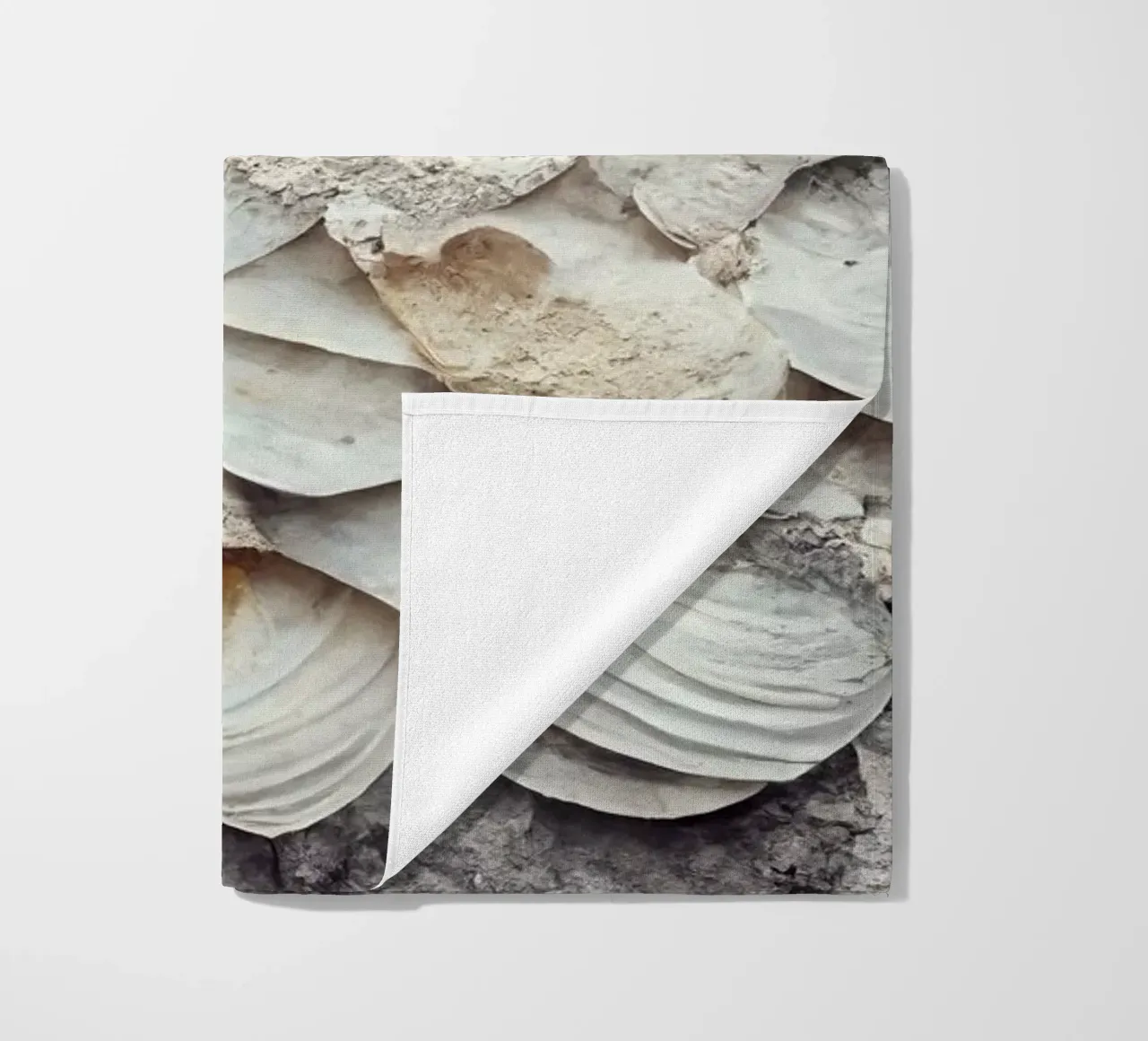 Sea Shells Detail No 6 telo mare da treechild