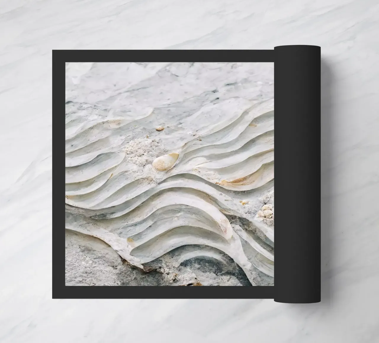Sea Shells Detail No 7 zerbino da treechild