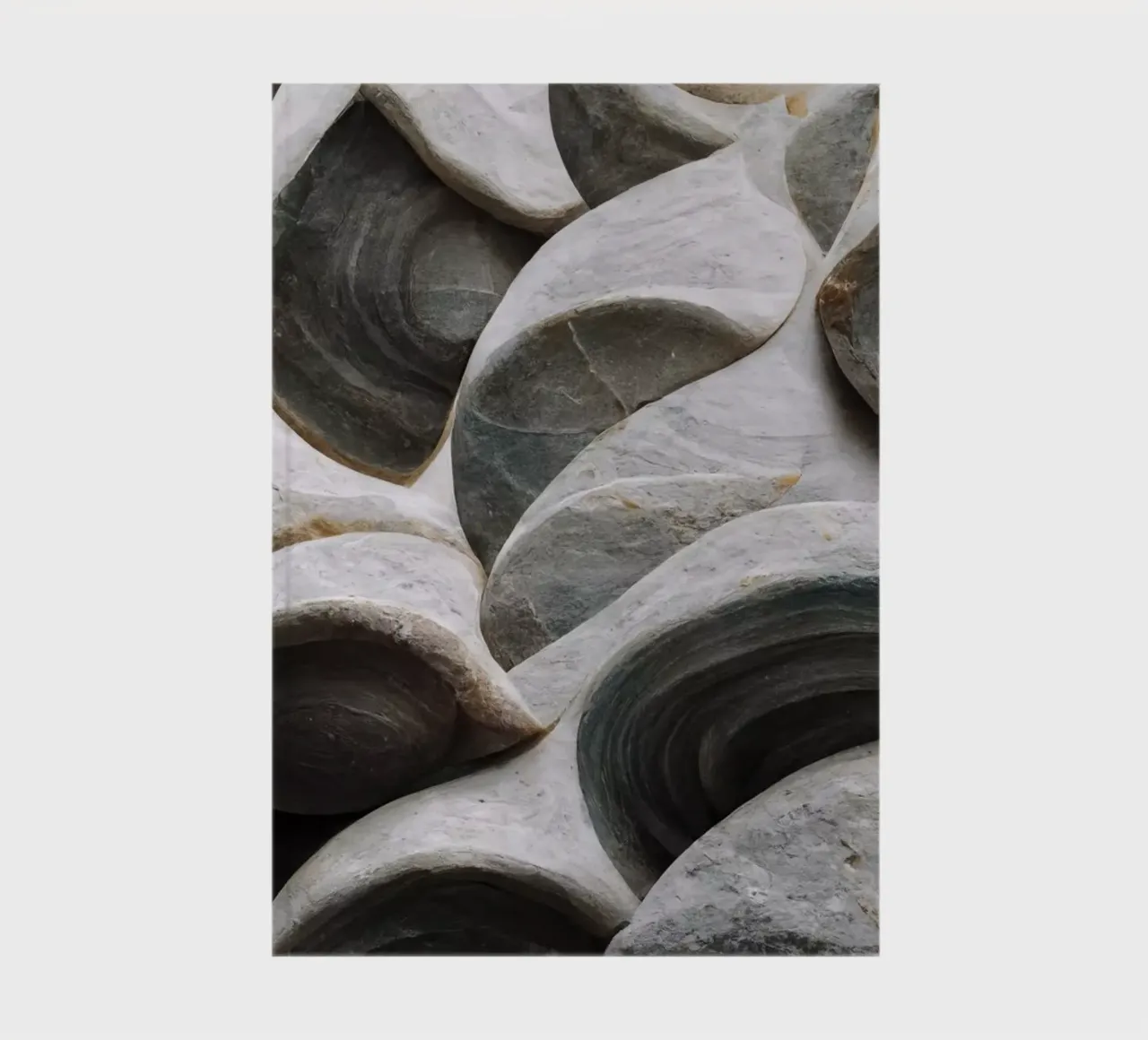 Sea Shells Detail No 5 notebook by treechild