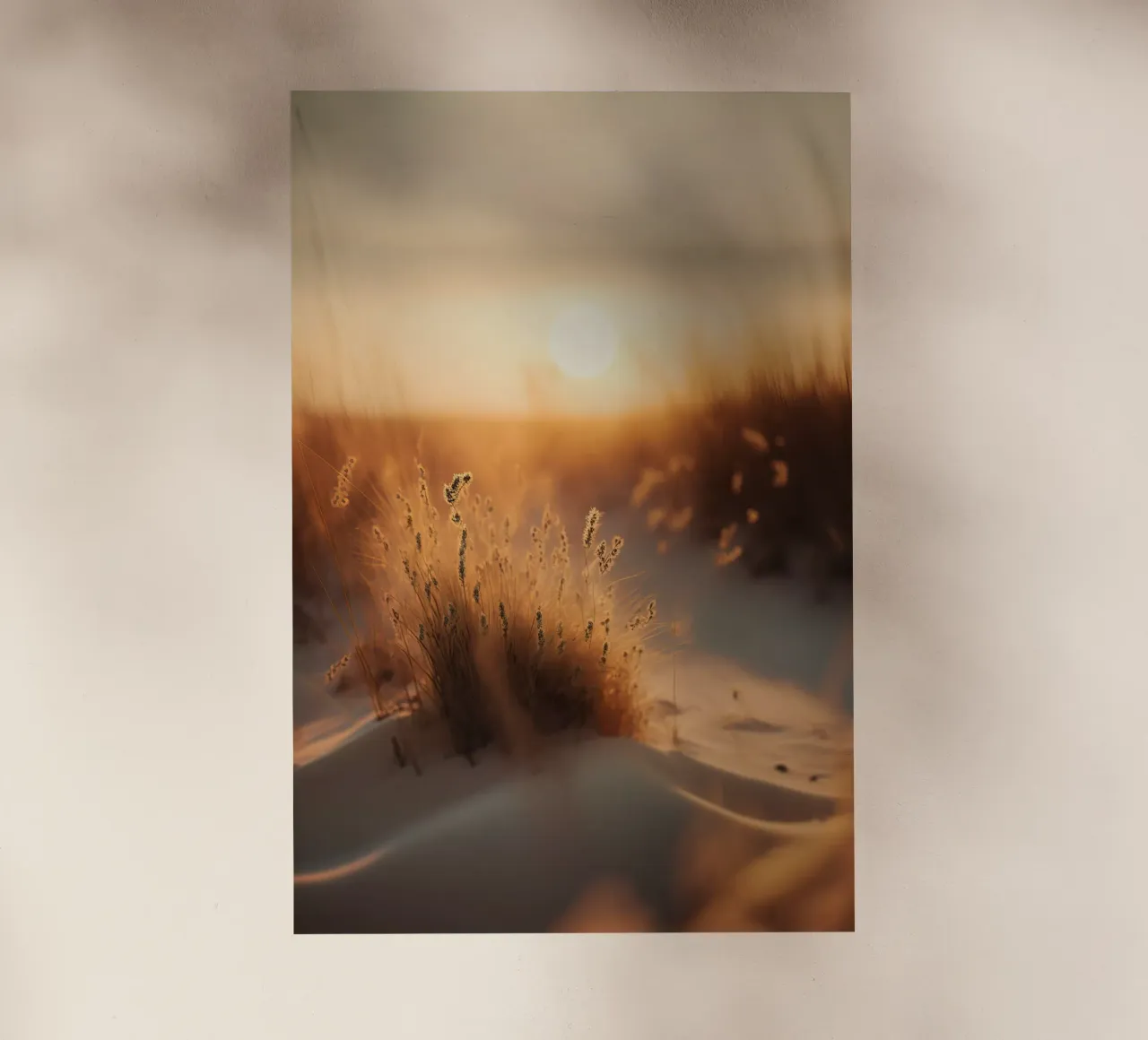 Sunset By The Dunes pellicola backlit da treechild