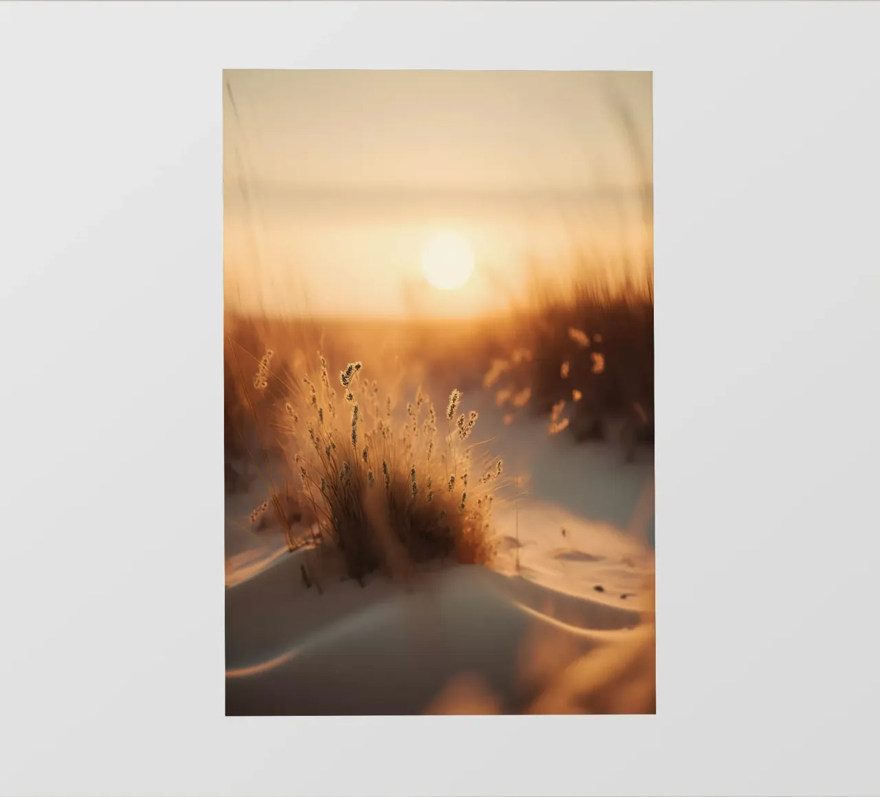 Sunset By The Dunes pellicola backlit da treechild