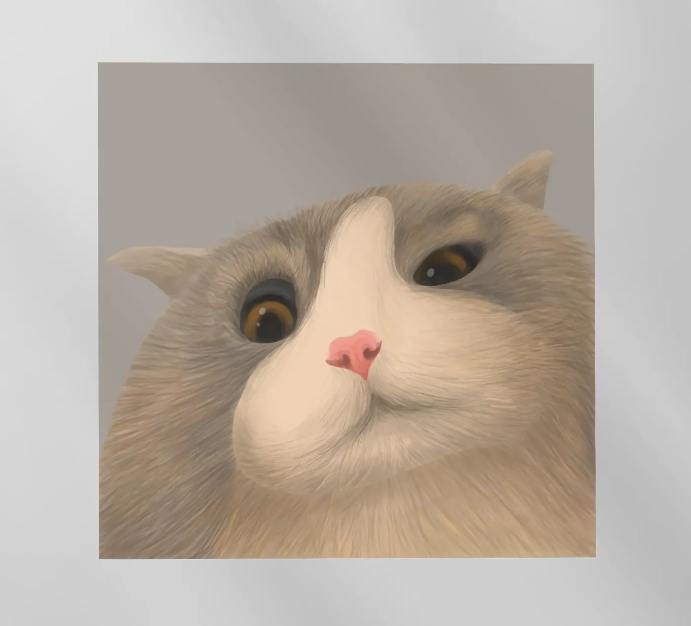 kitty posture pellicola backlit da pastel color shape