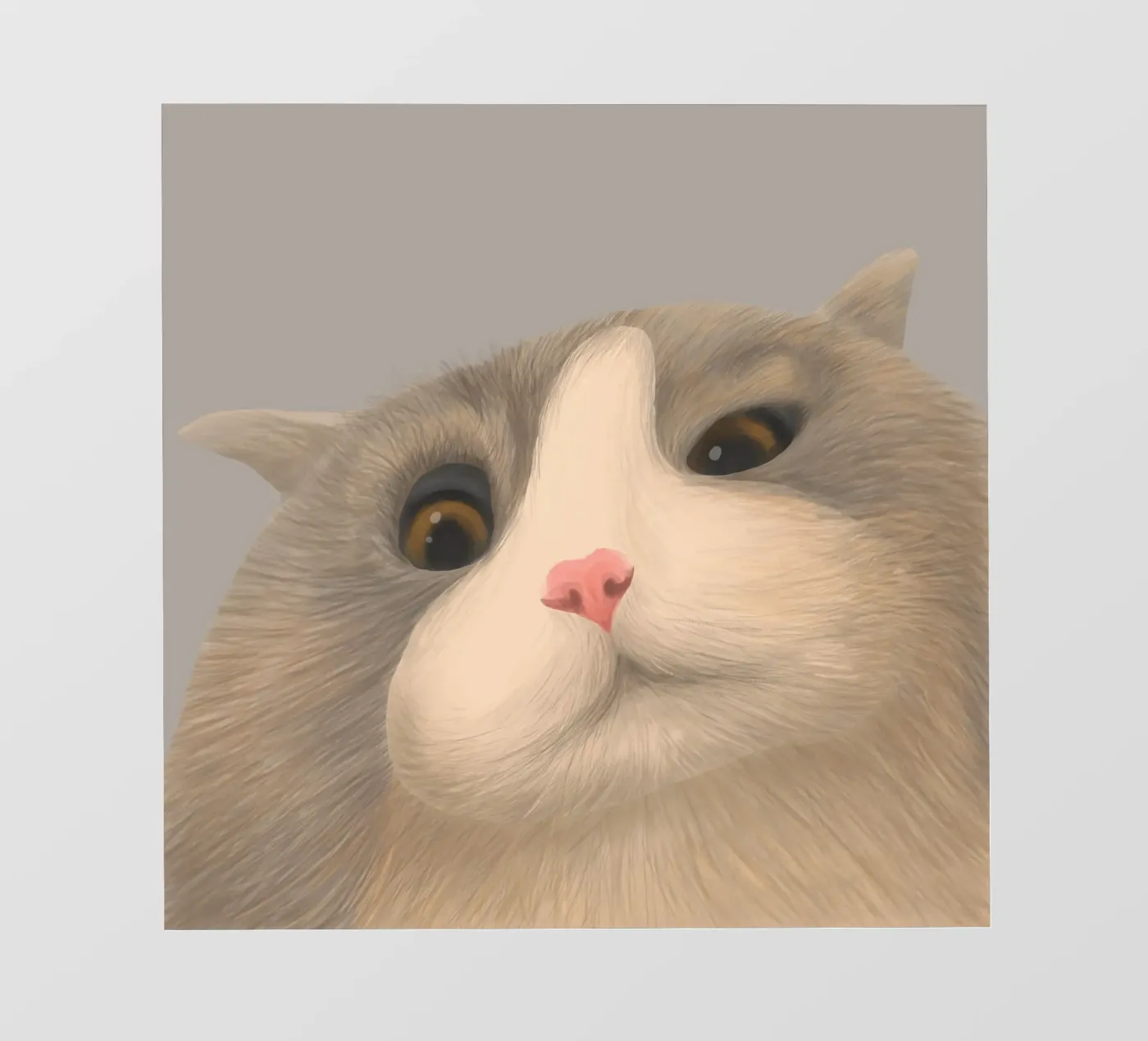 kitty posture pellicola backlit da pastel color shape