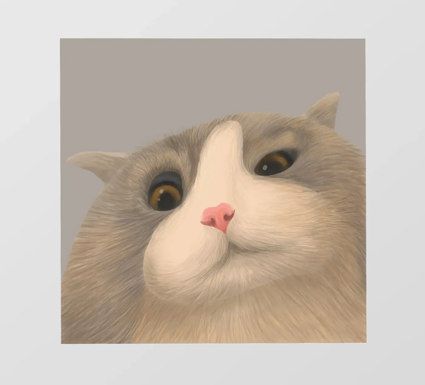 kitty posture pellicola backlit da pastel color shape