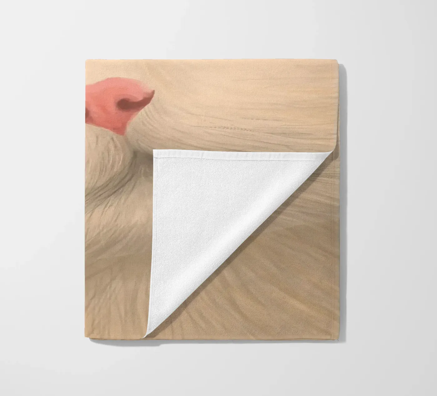 kitty posture telo mare da pastel color shape