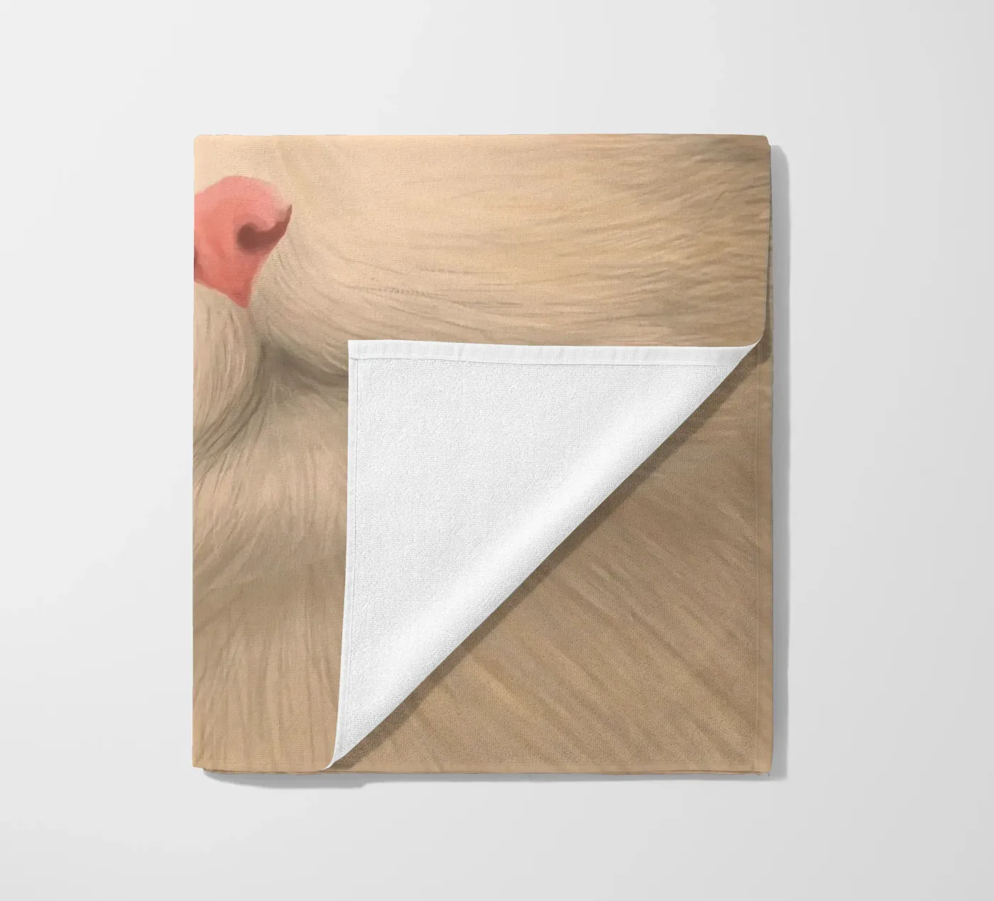 kitty posture telo mare da pastel color shape