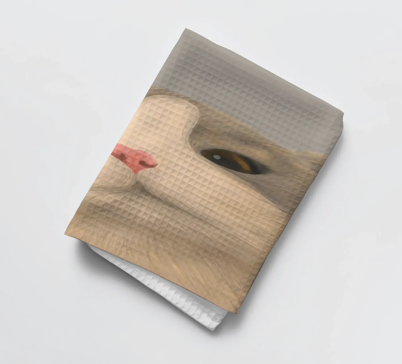 kitty posture torchon de pastel color shape