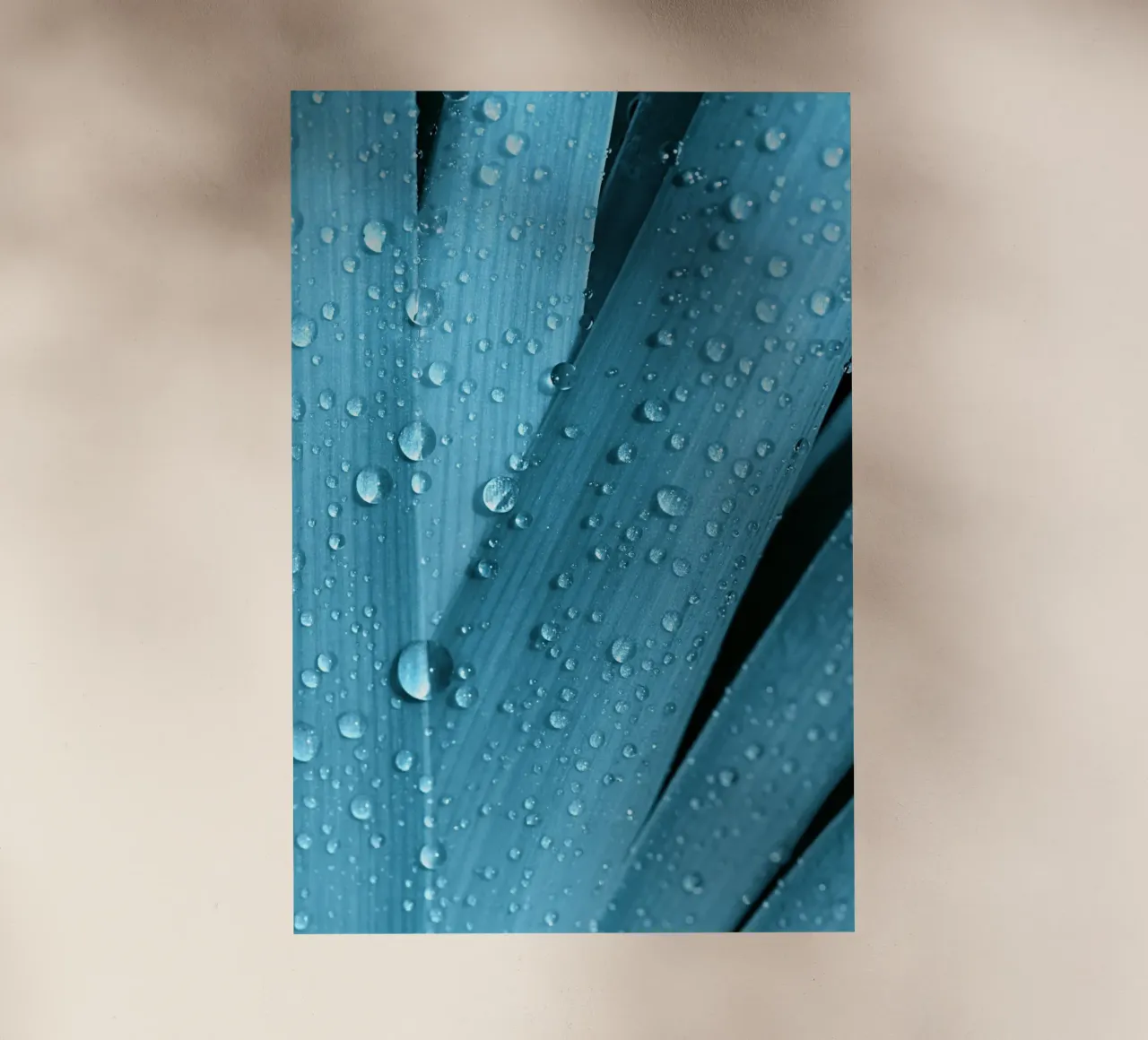 Wassertropfen Backlit Folie von Atteloi