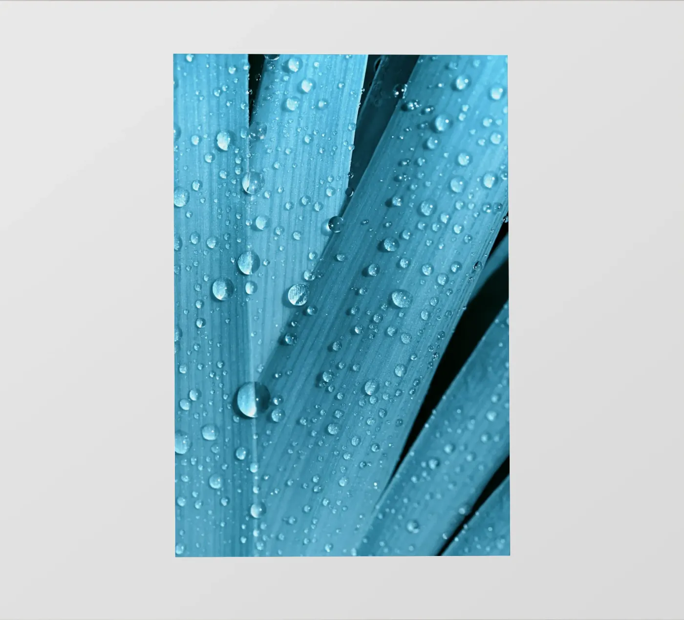 Wassertropfen Backlit Folie von Atteloi