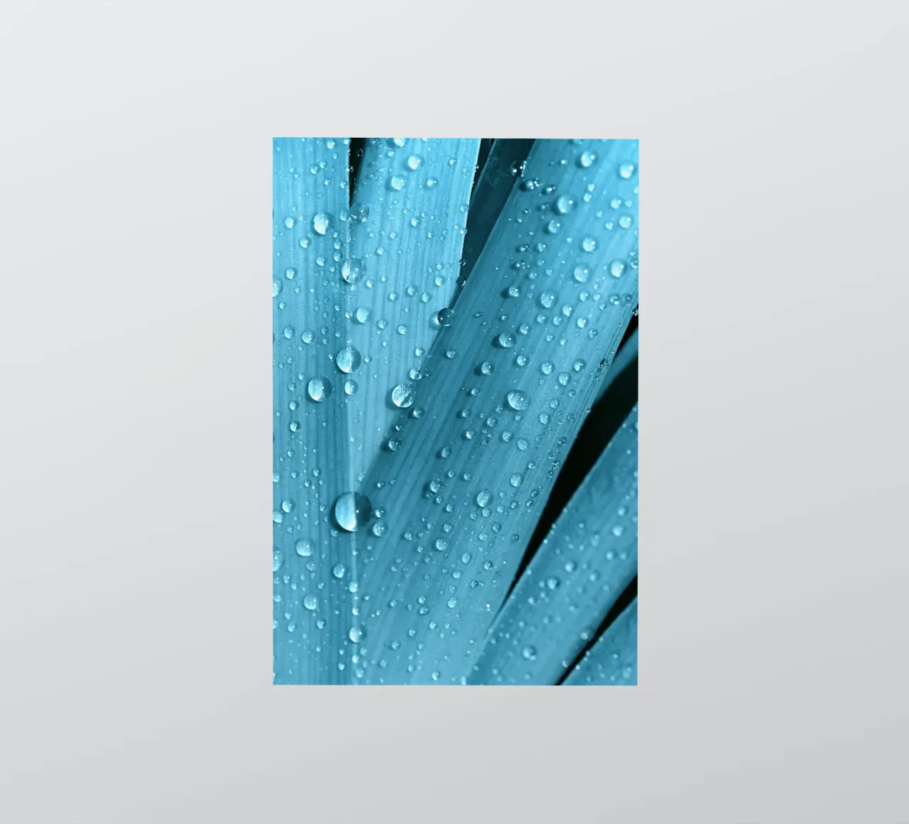 Wassertropfen Sticker von Atteloi