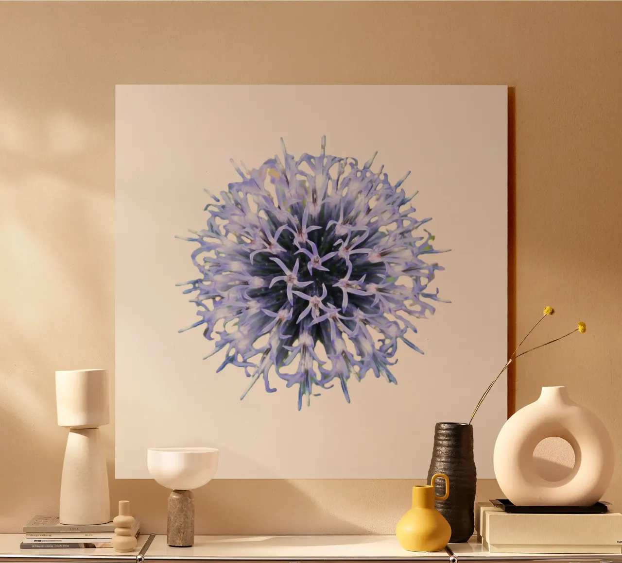 disco cardo plexiglass da DragonFly