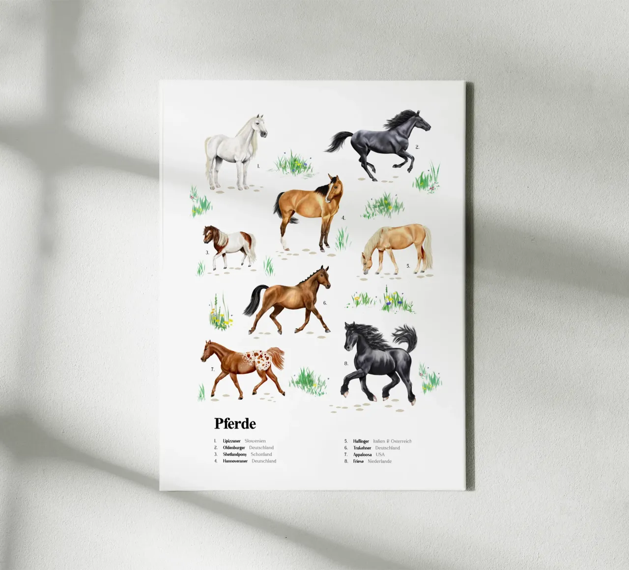 Pferde & Ponys • Arten entdecken Lernbild Illustration tela con Cornice a cassetta da Moonlit Illustrations