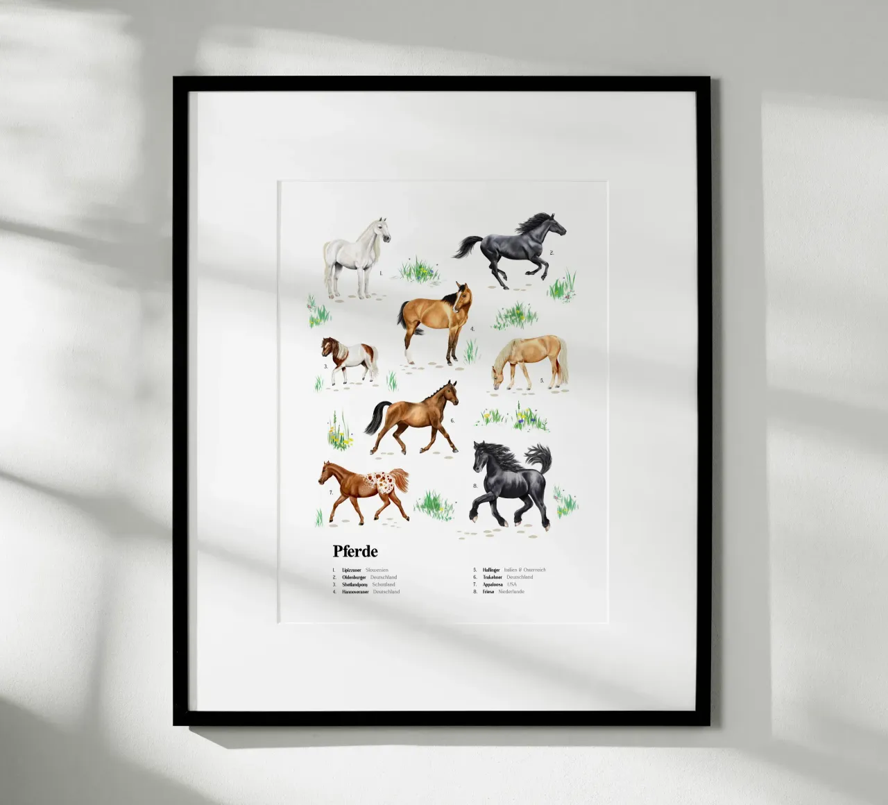 Pferde & Ponys • Arten entdecken Lernbild Illustration poster da Moonlit Illustrations