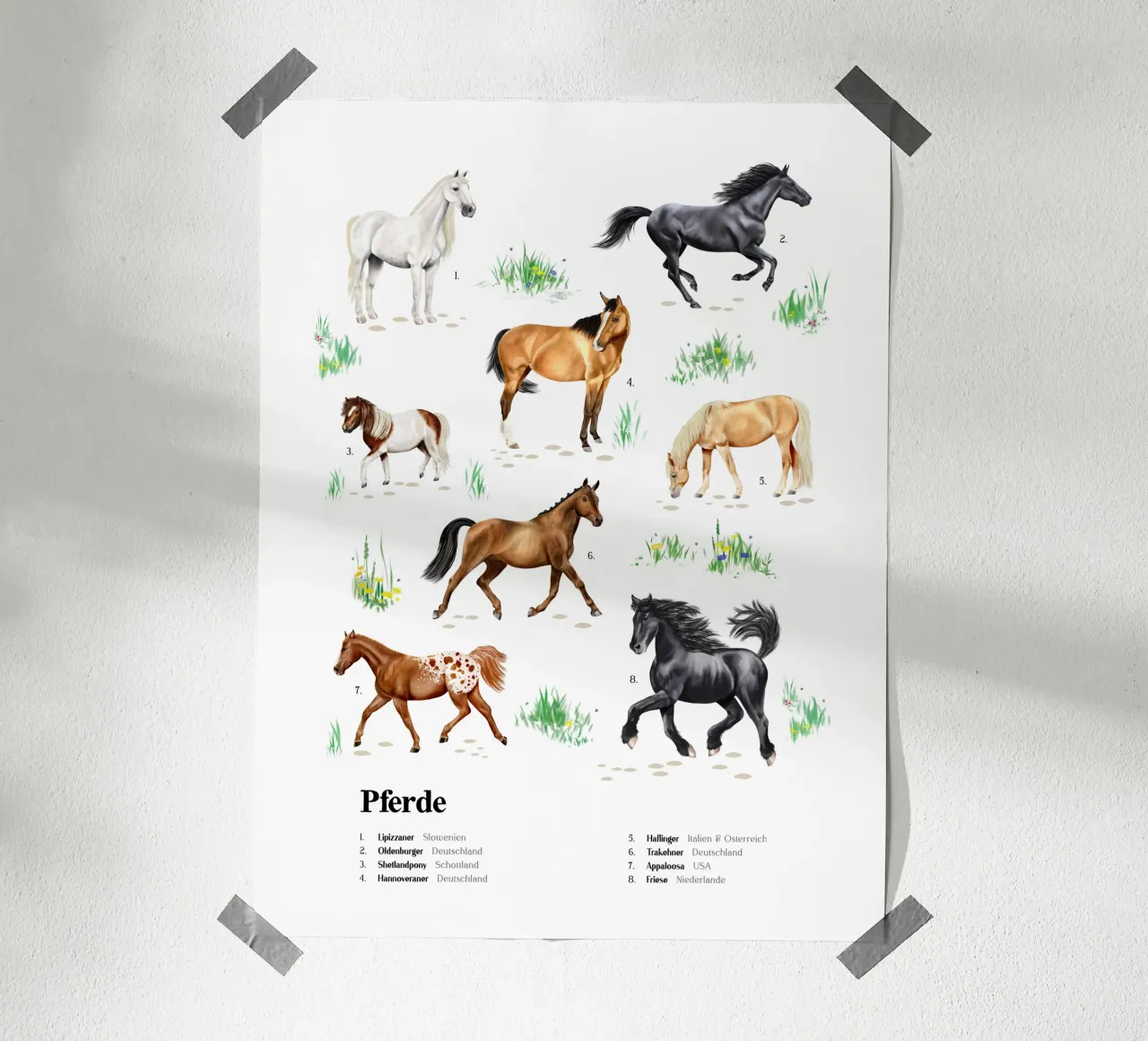 Pferde & Ponys • Arten entdecken Lernbild Illustration poster da Moonlit Illustrations