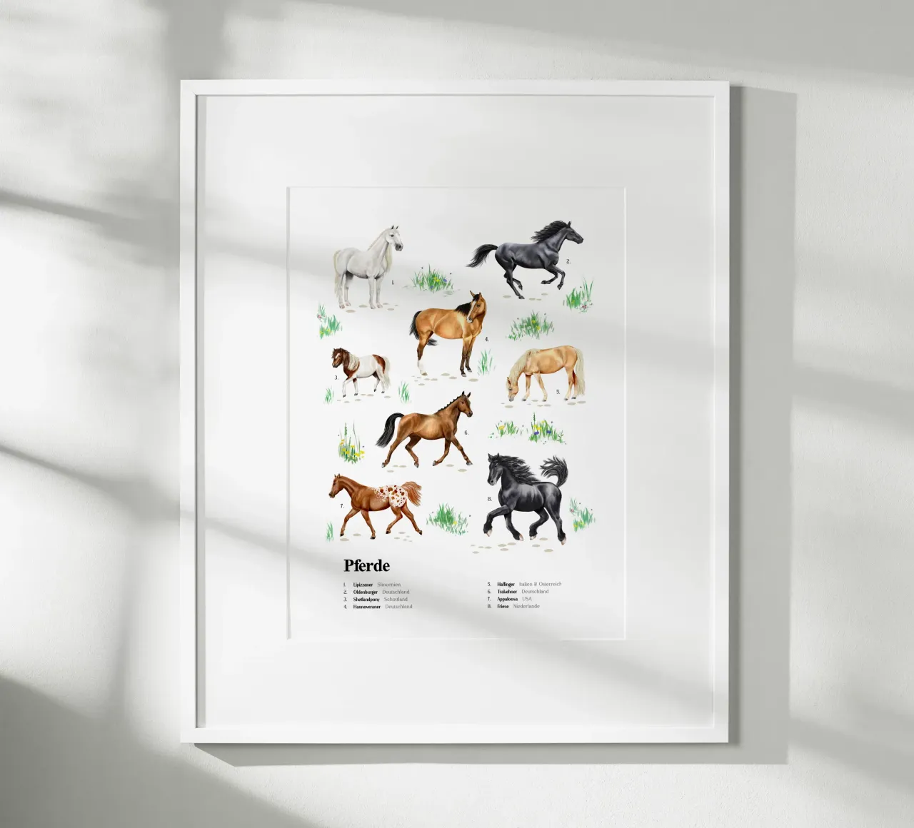 Pferde & Ponys • Arten entdecken Lernbild Illustration poster da Moonlit Illustrations