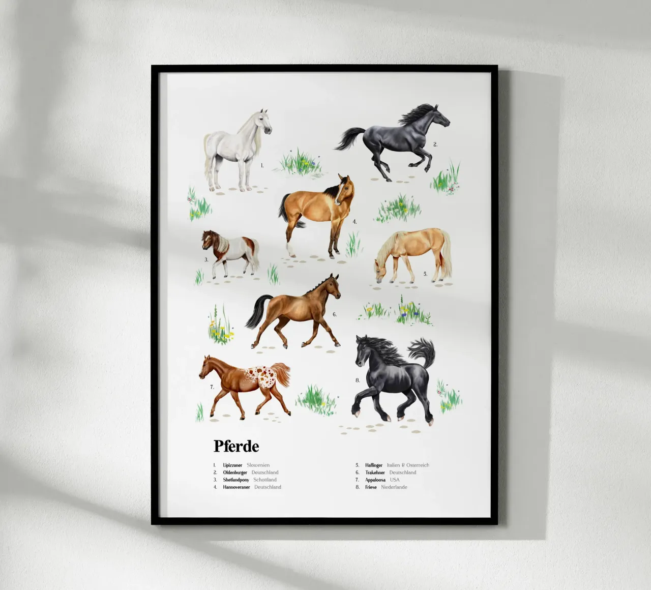 Pferde & Ponys • Arten entdecken Lernbild Illustration poster da Moonlit Illustrations