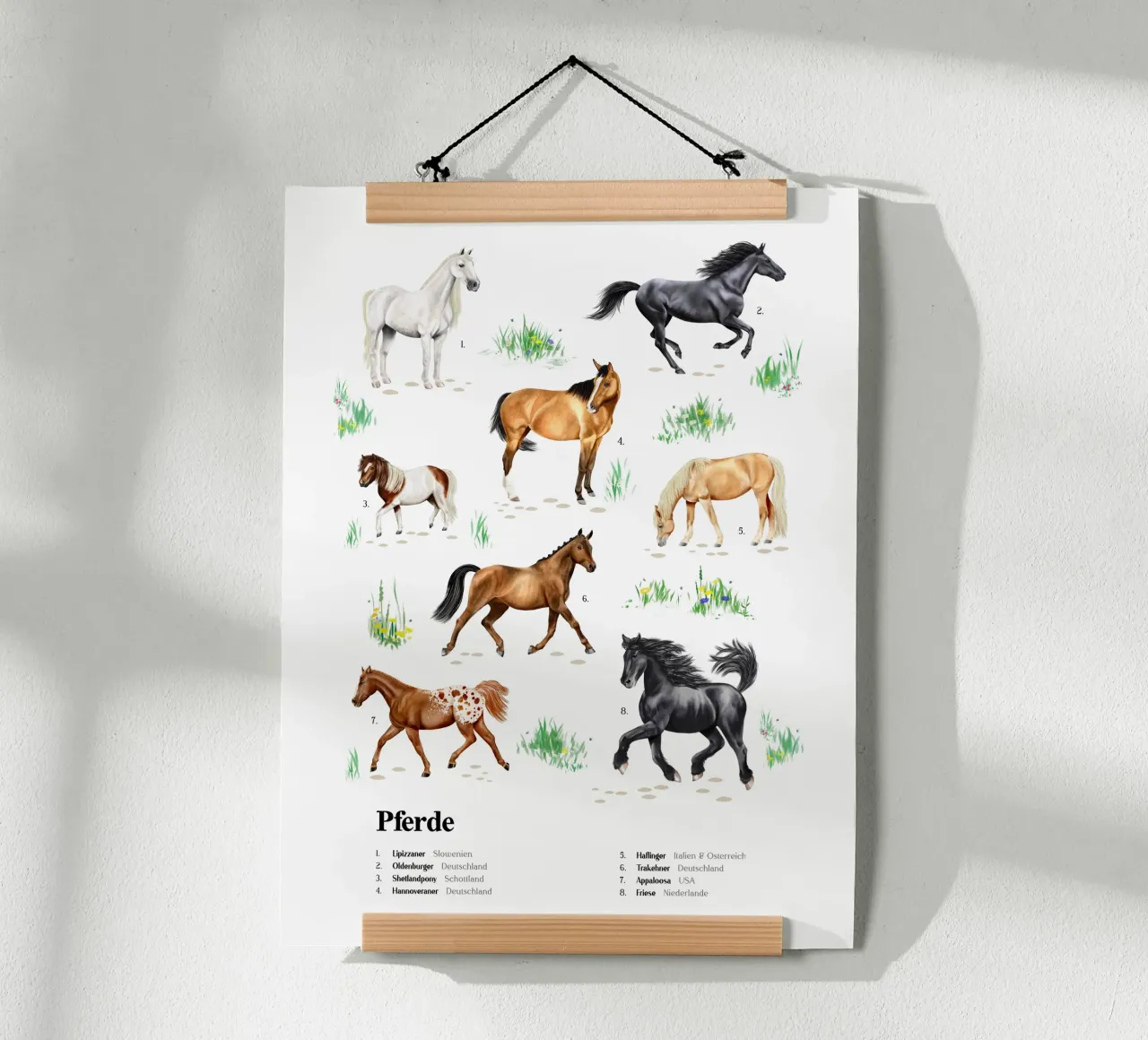 Pferde & Ponys • Arten entdecken Lernbild Illustration poster da Moonlit Illustrations