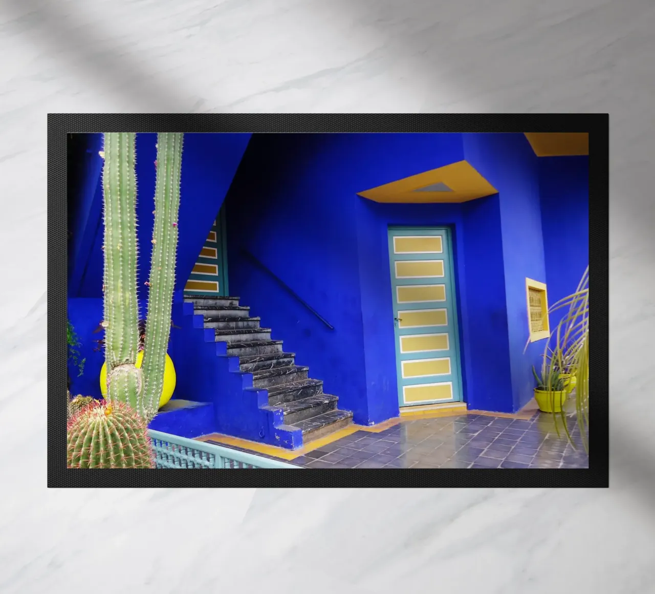 MarrakechBlue3 zerbino da DragonFly